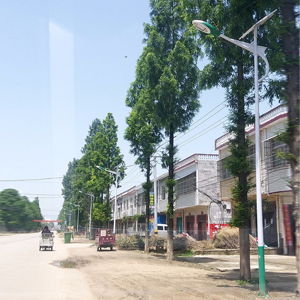 鄧州腰店鄉太陽能路燈工程
